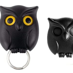 spooky owl key holder open/close eyes function